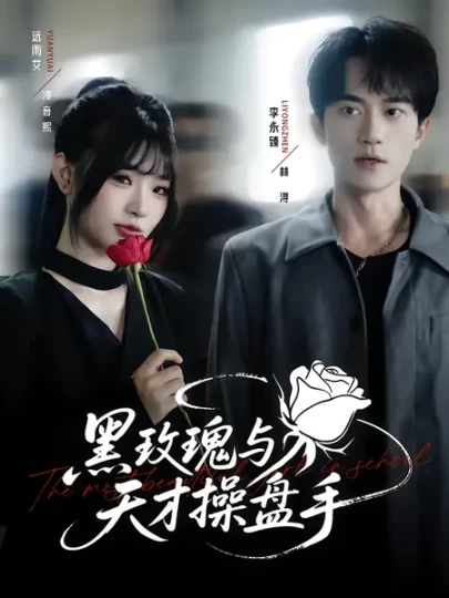 黑玫瑰与天才操盘手